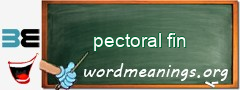 WordMeaning blackboard for pectoral fin